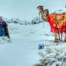 이례로-4 이미지