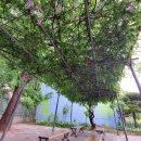 풍납중학교 이미지