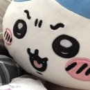 써리 독 | 12 ; 스물 아홉 마지막 일상