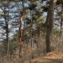 영모암(永慕庵) 이미지