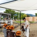 렛츠런파크 스포츠조선