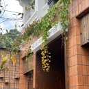 카페바트 이미지