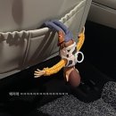 세광세차장 | [홍성/내포 세차장] 광손세차장 실내세차 실외세차