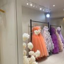 청담하누 | 청담 클라라 | 클라라 촬영드레스 가봉후기 페레스튜디오 웨딩촬영 드레스 셀렉