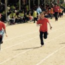 포일초등학교 이미지