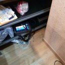 우성농원 이미지