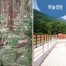 하늘병원 앞 이미지