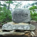 대영정기 이미지