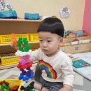 레인보우 오가닉