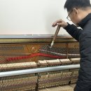 이쁜소리음악학원 이미지