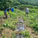 협심농장 이미지