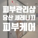 당산 피부관리샵 세레니끄 케어 후기