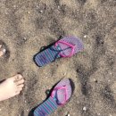 낭푼이닭한마리 이미지