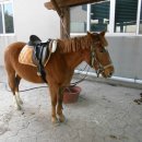 청수영농조합 이미지