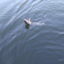 선고낚시터 이미지