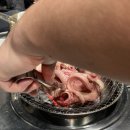 강원곰장어 이미지