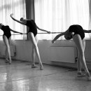 더발레핏 스튜디오 이미지