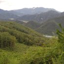 반딧불 가족농원 이미지