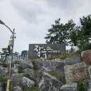 원덕읍사무소 | 삼척 전설의 장호비치캠핑장 C9 여름캠핑