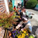 개산초등학교 이미지