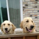 웅포농장 이미지