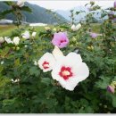 무궁화공원 공중화장실(공원) 이미지