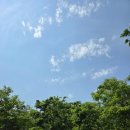 풀냄새꽃향기 이미지