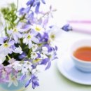 대구한의대학교 한방산업대학원 이미지