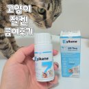 옆집강아지 | 강아지고양이스트레스 완화보조제 질켄 고양이 급여 후기