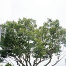 양등경로당 이미지