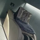 서울카클리닉 이미지