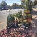 대지농산 이미지