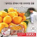 슈퍼브릭스 이미지