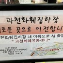 과천화훼단지 A동 식물쇼핑 다녀온 후기(25년6월 이전예정)