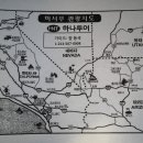 금광농장 Daum카페