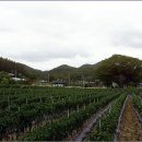 모정경로당 이미지