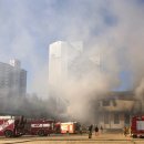 강남초등학교 이미지