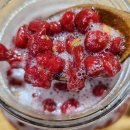 Re: 제제의 전원 밥상에서 옮김 [보리수청] 이미지