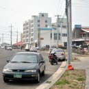 제주게스트하우스봄꽃 이미지