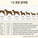 피피브레드 이미지