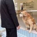 무병짱수 이미지