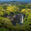 천지연 폭포 이미지