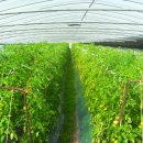 흙사랑 농장 이미지