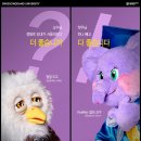딩동댕 - 철원군 금학로210번길 7-7 | 딩동댕