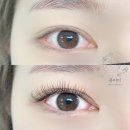 모바일단말기 / 상계역 속눈썹 맛집 <b>퓨어</b><b>미</b> !