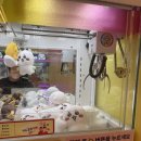 캐칭덕 당산점 이미지