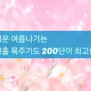 인천교구 성령쇄신 봉사회 8월계획 영상 이미지