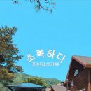 초록하다 이미지