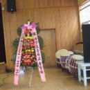 마산초등학교 총동문회 향우회장님 참석 이미지