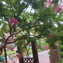 개미촌펜션 이미지